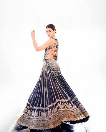 Kriti Sanon Inspired Lehenga Choli