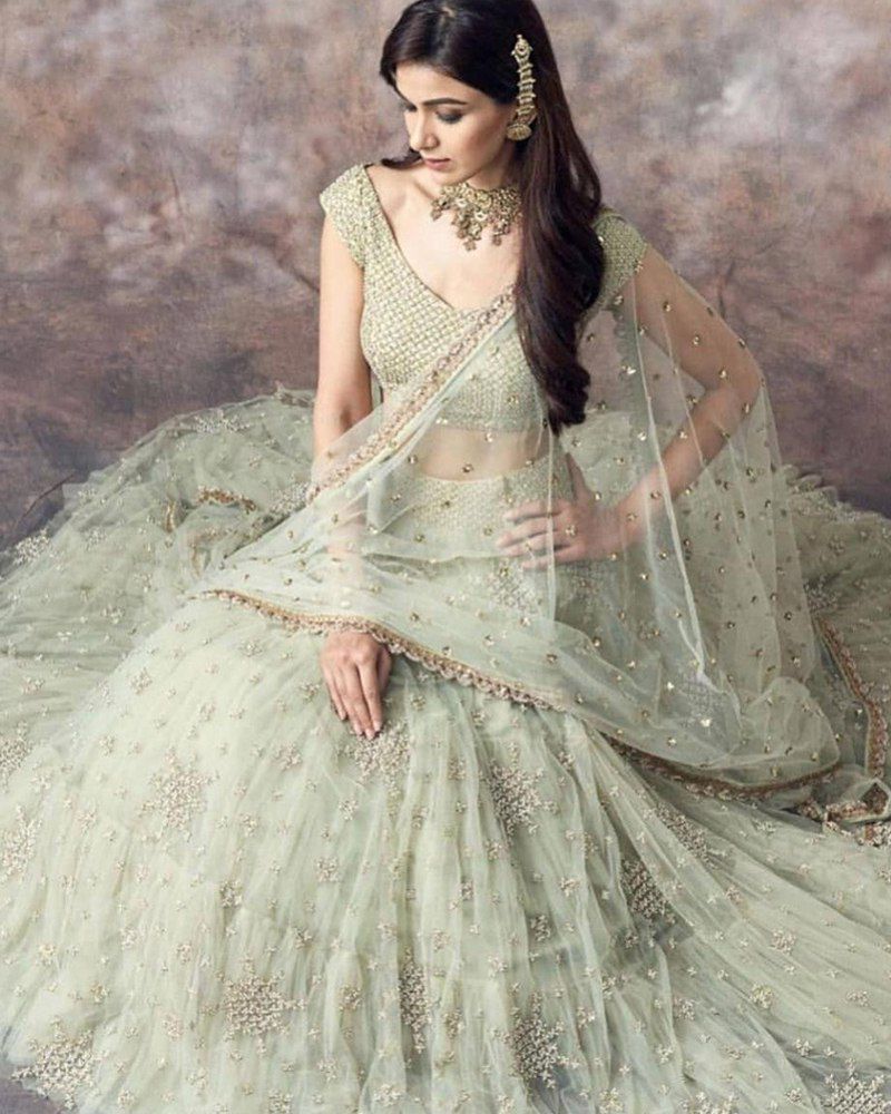 Sparkling Wingspan Lehenga Choli