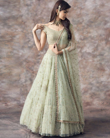 Sparkling Wingspan Lehenga Choli