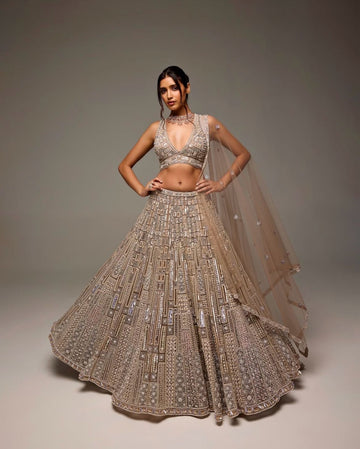 Brunette Radiance Lehenga Choli